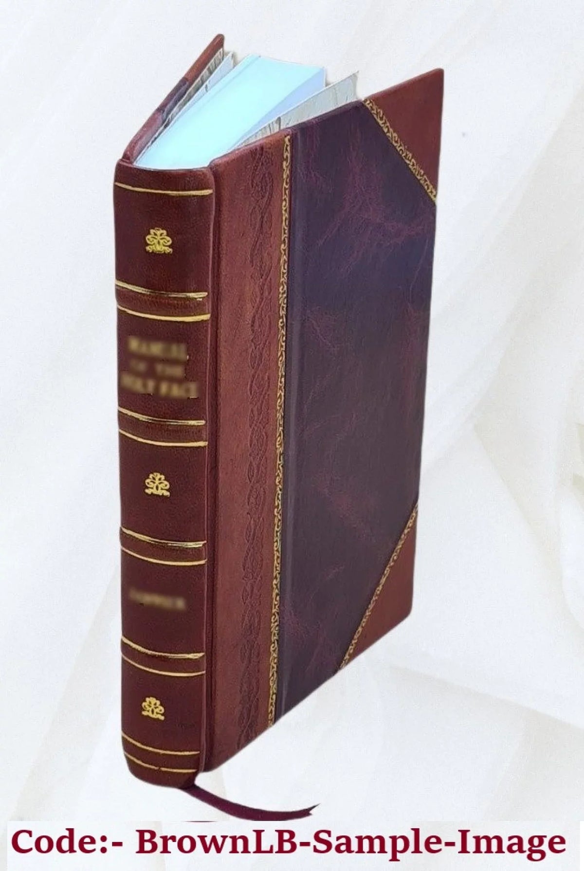 Bethlen Gábor fejedelem kiadatlan politikai levelei 1879 [Leather Bound]